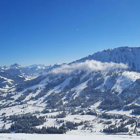 Alpenvogel *